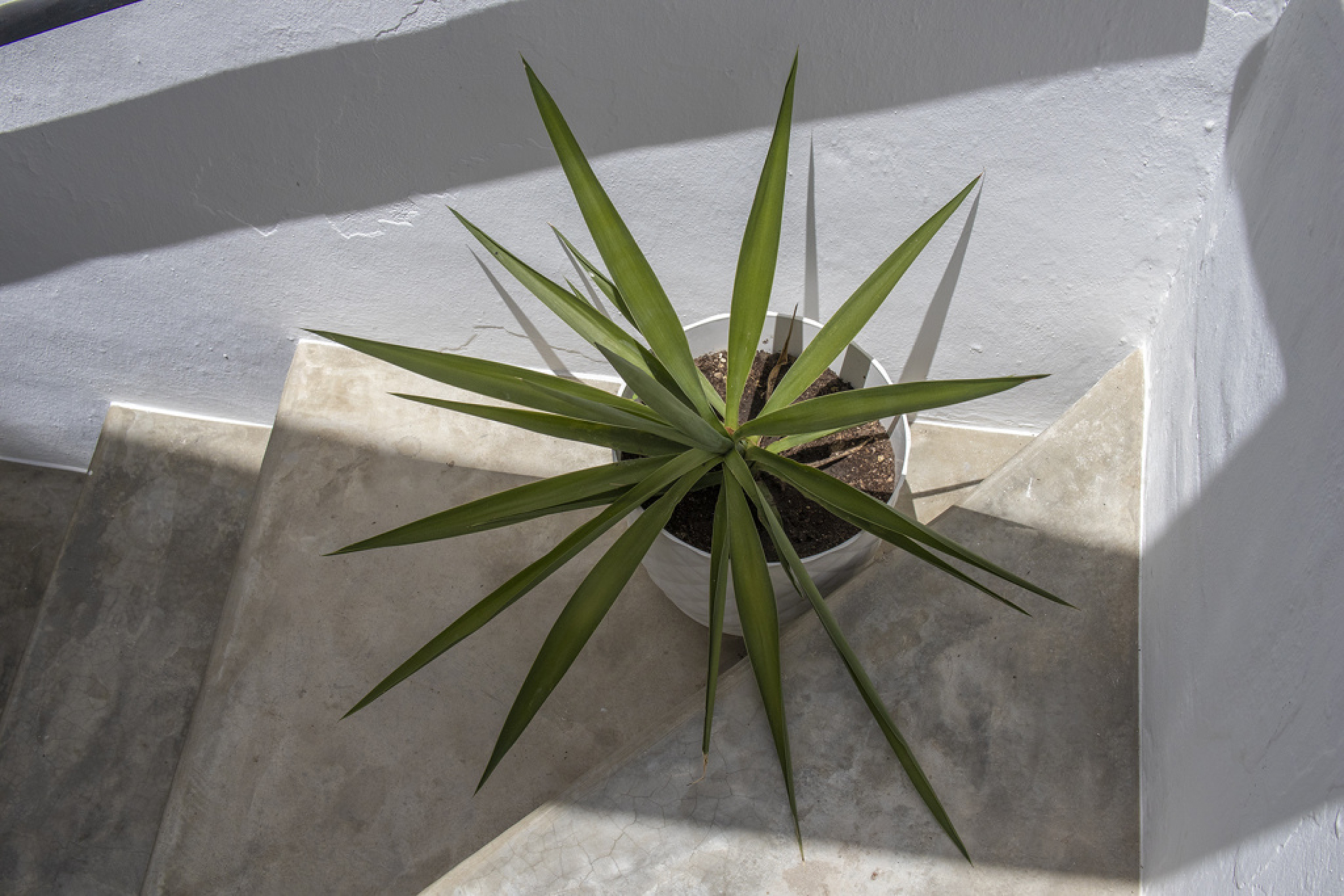 b04785c9976fc8b6b0dd2d8481b8161e5c94c8382da3c429a81e818d5cacde0f-45708dc640_v0_w1024xh768_rDEF